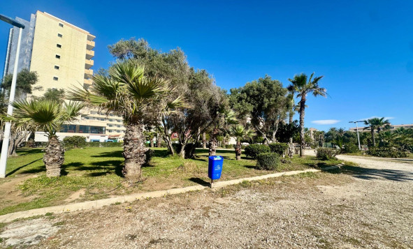 Resale - 1. Apartment / flat - Torrevieja - Costa Blanca South