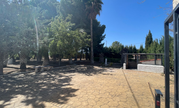 Reventa - 7. Finca - Elda