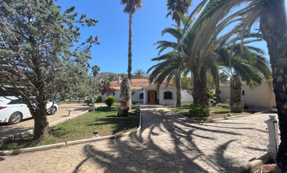Reventa - 7. Finca - Elda
