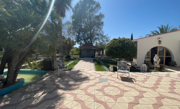 Reventa - 7. Finca - Elda