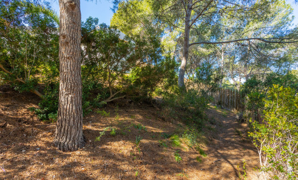 Resale - 3. Detached house - Orihuela - Costa Blanca South
