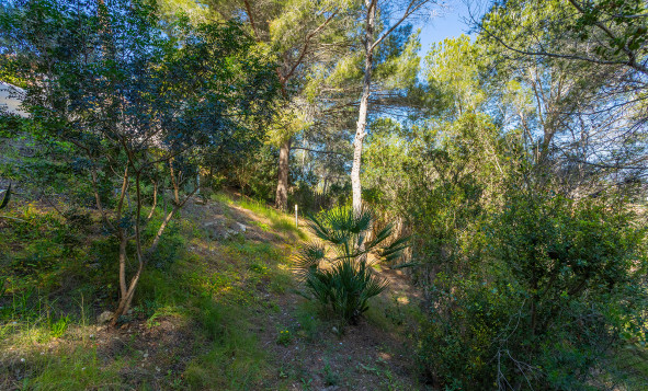 Resale - 3. Detached house - Orihuela - Costa Blanca South