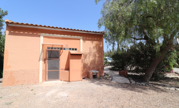 Resale - 7. Finca / Country property - Catral - Costa Blanca South
