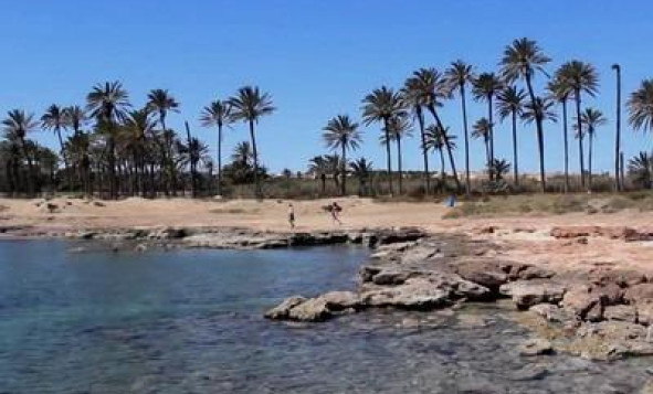Resale - 1. Apartment / flat - Torrevieja - Costa Blanca South