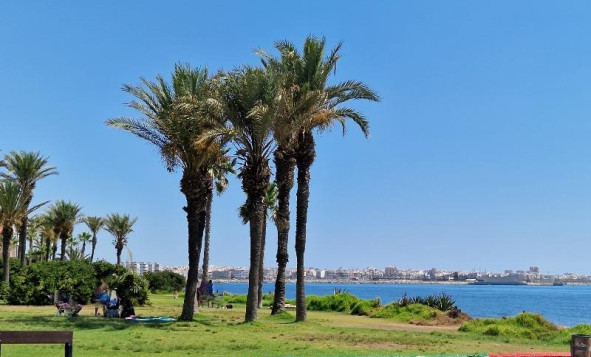 Resale - 1. Apartment / flat - Torrevieja - Costa Blanca South