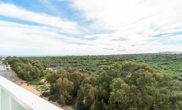 Resale - 1. Apartment / flat - Guardamar del Segura - Puerto Deportivo