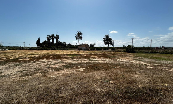 Reventa - Terreno edificable - San Miguel de Salinas - Costa Blanca Sur