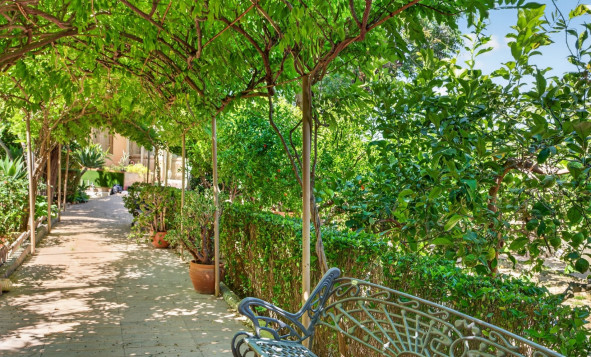 Resale - 3. Detached house - Orihuela - Orihuela Center