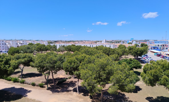 Reventa - 1. Apartamento / piso - La Zenia - Costa Blanca Sur