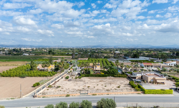 Resale - 3. Detached house - Elche - La Hoya