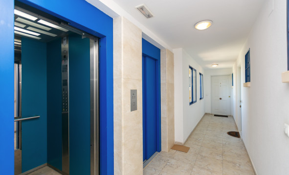 Reventa - 1. Apartamento / piso - Dehesa de Campoamor