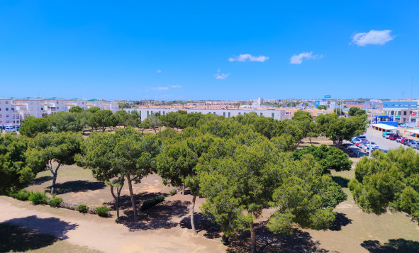 Resale - 1. Apartment / flat - La Zenia - Costa Blanca South