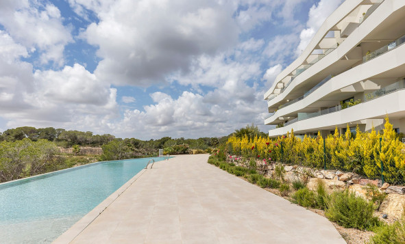 Reventa - 1. Apartamento / piso - Dehesa de Campoamor - Costa Blanca Sur
