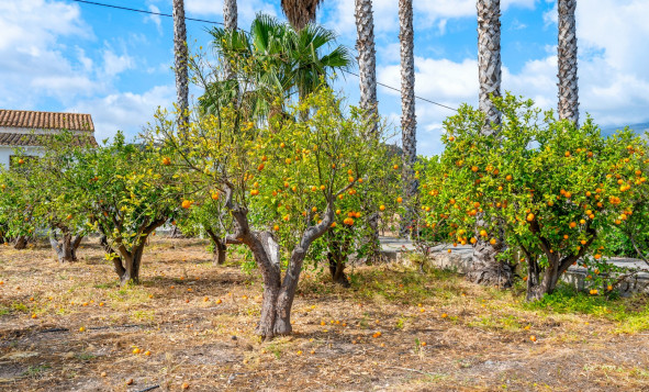 Reventa - 7. Finca - La Nucia - Costa Blanca Norte 