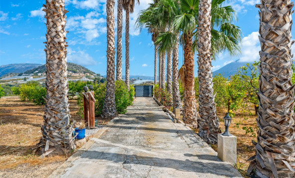 Reventa - 7. Finca - La Nucia - Costa Blanca Norte 