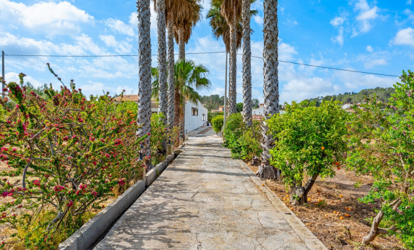 Reventa - 7. Finca - La Nucia - Costa Blanca Norte 