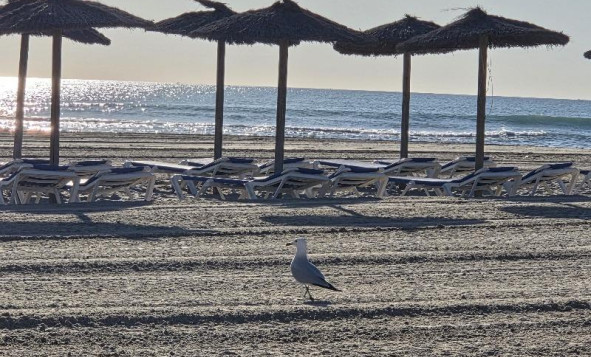 Reventa - 3. Casa indepiende - Orihuela Costa - Costa Blanca Sur