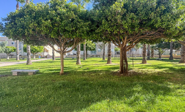 Herverkoop - 1. Appartement / flat - Torrevieja - Costa Blanca Zuid