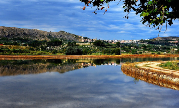 Obra nueva - Villa - CALASPARRA - Murcia