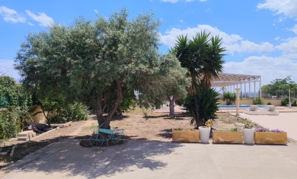 Resale - 3. Detached house - Los Montesinos - Costa Blanca South
