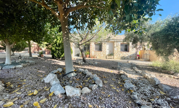Resale - 7. Finca / Country property - Crevillent - Crevillente