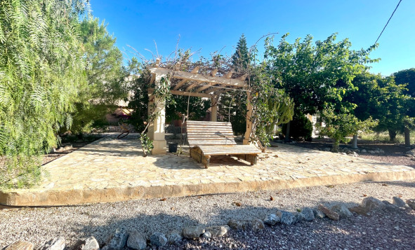 Resale - 7. Finca / Country property - Crevillent - Crevillente