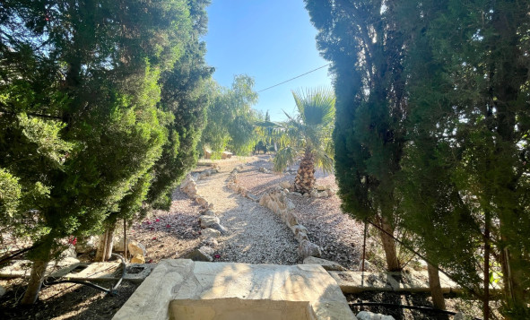 Resale - 7. Finca / Country property - Crevillent - Crevillente