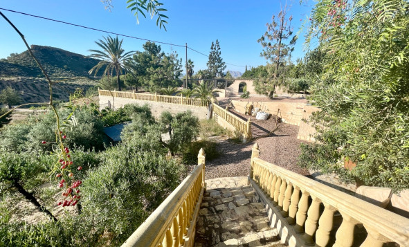 Resale - 7. Finca / Country property - Crevillent - Crevillente