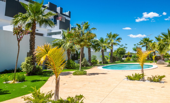 Reventa - 1. Apartamento / piso - Torrevieja - Costa Blanca Sur