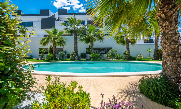 Reventa - 1. Apartamento / piso - Torrevieja - Costa Blanca Sur