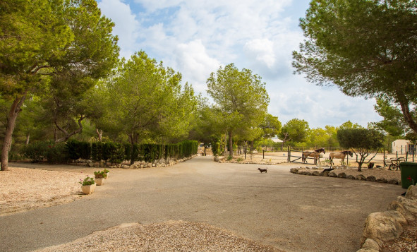 Resale - 7. Finca / Country property - Torremendo - Costa Blanca South
