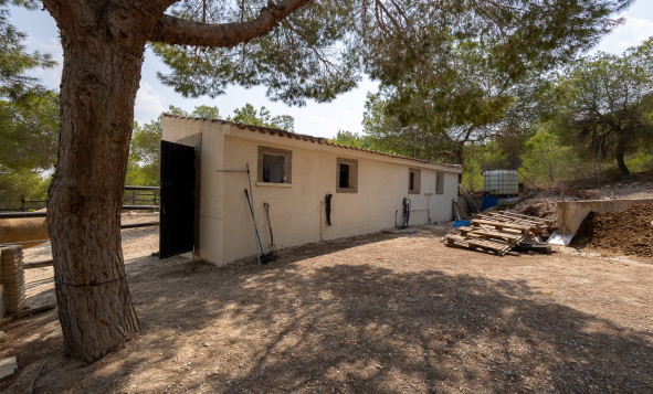 Resale - 7. Finca / Country property - Torremendo - Costa Blanca South