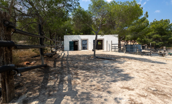 Resale - 7. Finca / Country property - Torremendo - Costa Blanca South