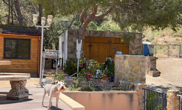 Reventa - 7. Finca - Orihuela - Costa Blanca Sur