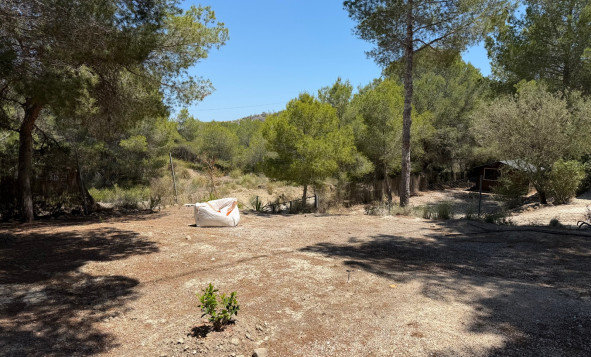 Reventa - 7. Finca - Orihuela - Costa Blanca Sur
