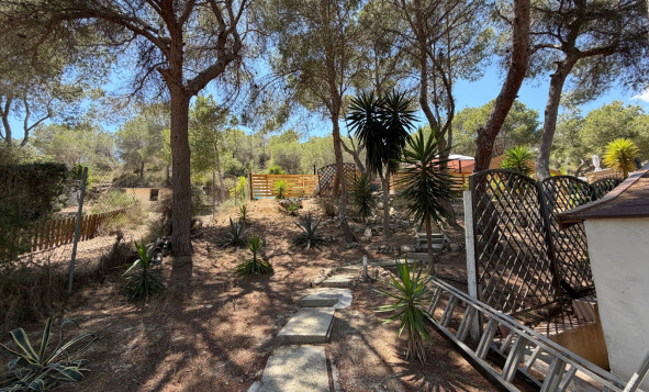 Reventa - 7. Finca - Orihuela - Costa Blanca Sur