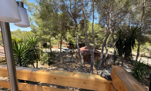 Reventa - 7. Finca - Orihuela - Costa Blanca Sur