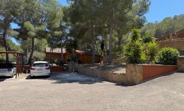 Reventa - 7. Finca - Orihuela - Costa Blanca Sur