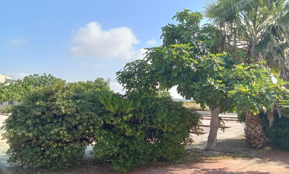 Herverkoop - 1. Appartement / flat - Torrevieja - Costa Blanca Zuid
