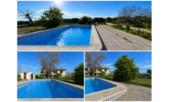 Resale - 3. Detached house - Benejúzar - Comunidad Valenciana