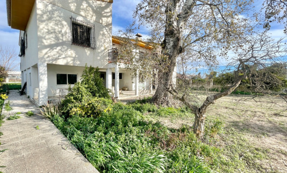 Resale - 3. Detached house - Benejúzar - Comunidad Valenciana