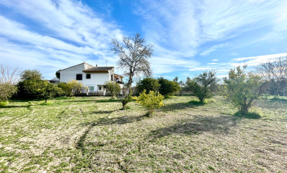 Resale - 3. Detached house - Benejúzar - Comunidad Valenciana