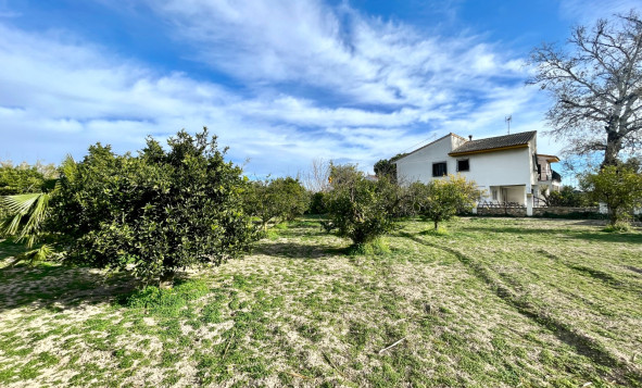 Resale - 3. Detached house - Benejúzar - Comunidad Valenciana