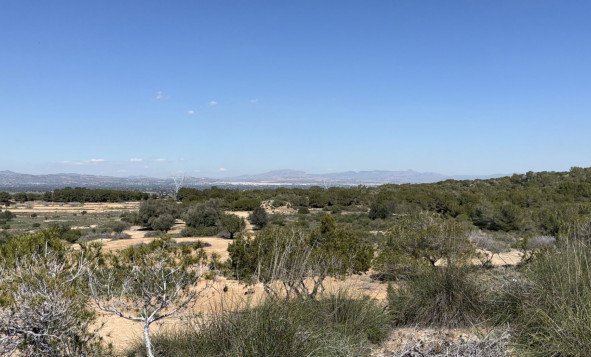 Resale - Land and Plots - San Fulgencio - Costa Blanca South