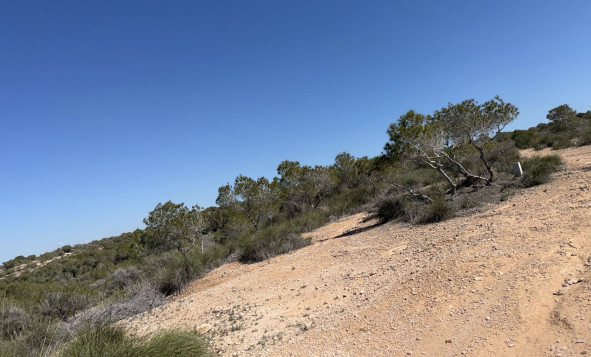 Resale - Land and Plots - San Fulgencio - Costa Blanca South