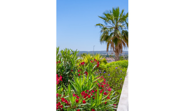 Reventa - 3. Casa indepiende - La Marina - Costa Blanca Sur