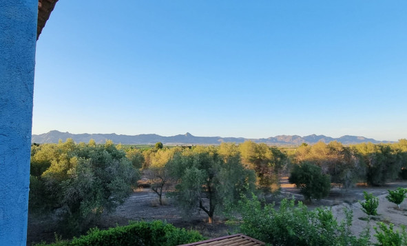Reventa - 3. Casa indepiende - Orihuela - Costa Blanca Sur
