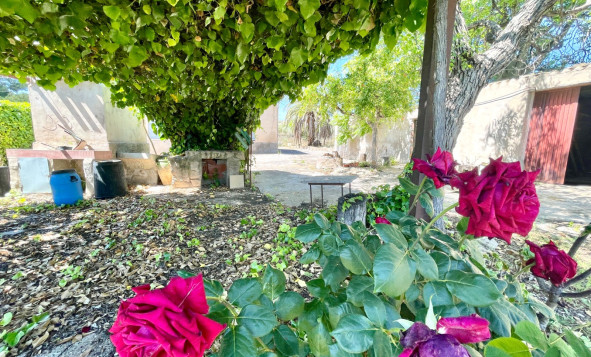 Resale - 3. Detached house - La Romana - Villas de la Romana