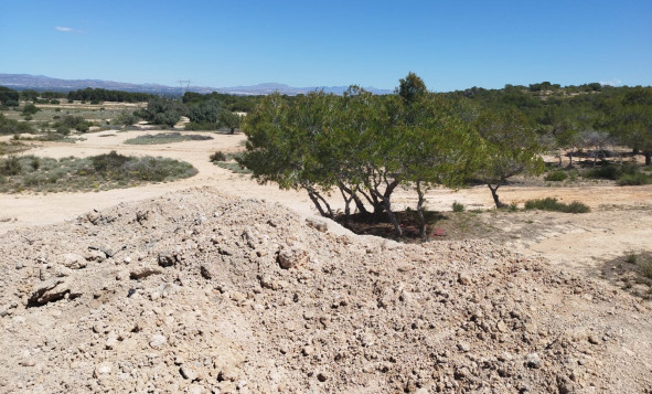 Resale - Land and Plots - San Fulgencio - Costa Blanca South