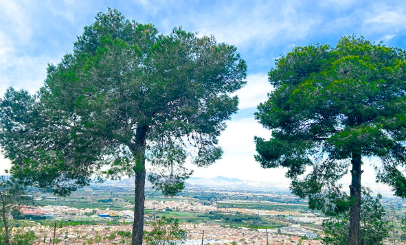 Reventa - 1. Apartamento / piso - Ciudad Quesada - Costa Blanca Sur
